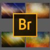 Online Cursus Adobe Bridge CC