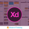 Online Cursus Adobe Experience Design (XD)