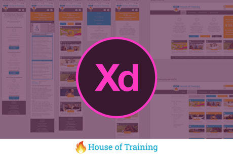 Ga aan de slag met prototyping in deze online cursus Adobe Experience Design (XD)