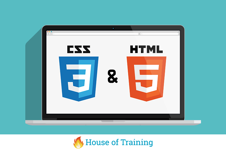 Leer in de online cursus HTML en CSS hoe je zelf een website bouwt en vormgeeft