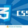 Online Cursus Website Vormgeving met CSS
