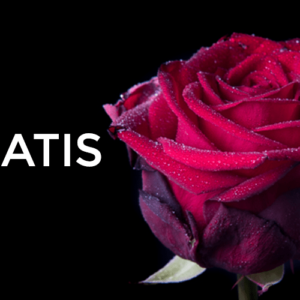 Leer in deze gratis cursus strobist fotografie meer over fotograferen met een flitser