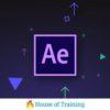 Online Cursus Animated Infographics met After Effects