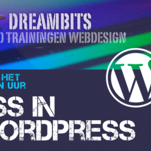 Leer hoe je CSS kan gebruiken om je WordPress website te stijlen.