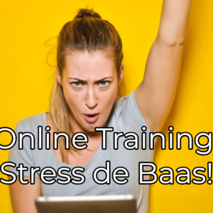 Leer stress de baas te worden in deze online training