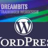 Websites Maken met WordPress