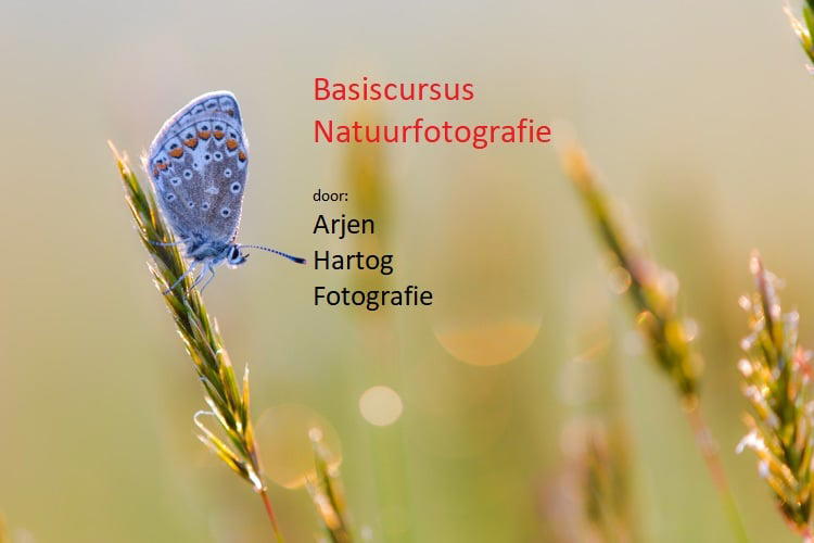 Basiscursus Natuurfotografie | Soofos