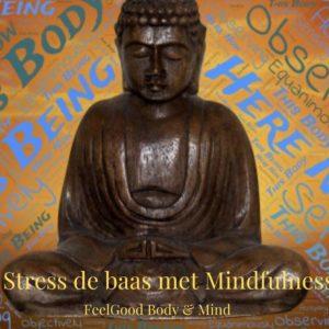 In deze cursus word je de stress de baas met mindfulness