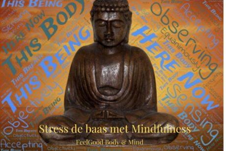 In deze cursus word je de stress de baas met mindfulness