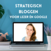 Online cursus: Strategisch bloggen voor lezer én Google