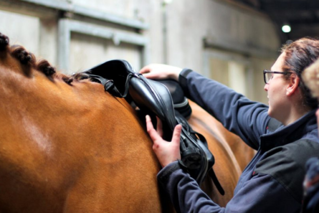 Empirisch Dinkarville Vervolgen Past mijn zadel wel bij mijn paard? | Leer het online op Soofos .nl