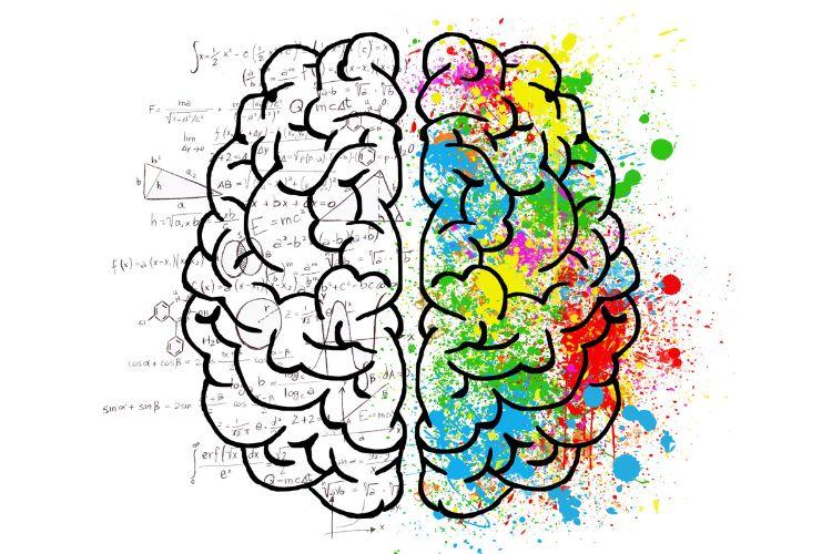 Leer wat de voordelen van mindmappen zijn voor je brein en je geheugen zijn