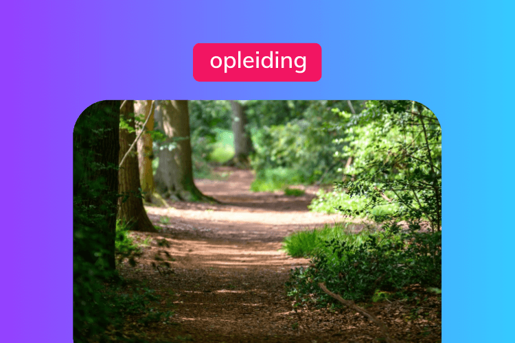 Mind walk trainer opleiding