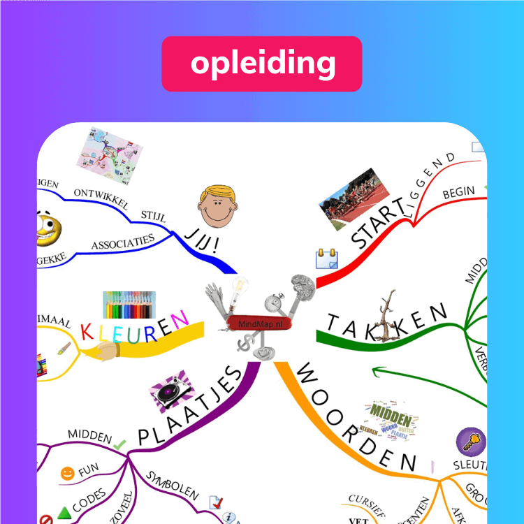 Complete Opleiding: Professioneel Mindmappen | Op Soofos.Nl