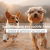 Spelenderwijs een sociale hond – Ontdek de geheimen van het spel