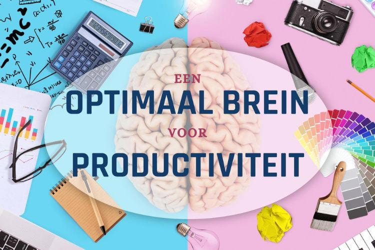 Cursusafbeelding Online cursus Een optimaal brein voor productiviteit