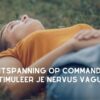 Ontspanning op commando: Stimuleer je Nervus Vagus