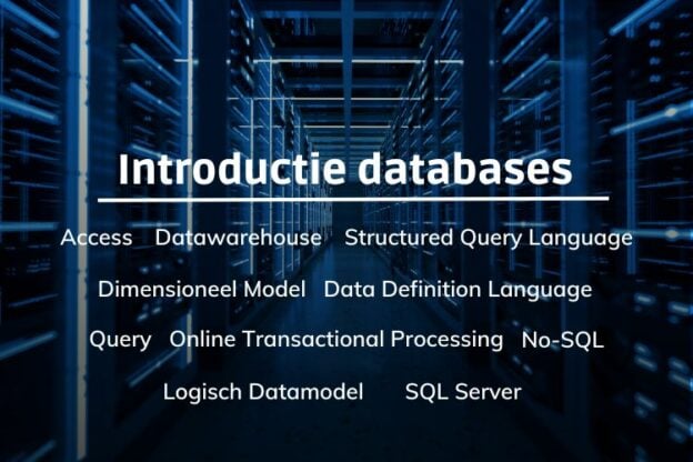 Online cursus introductie databases
