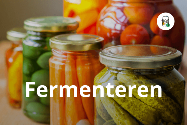 Cursusafbeelding voor online cursus Leren Fermenteren op Soofos