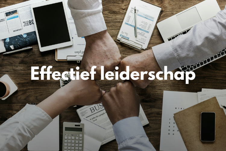 Afbeelding voor online cursus Effectief Leiderschap van Merel Rijvordt op Soofos