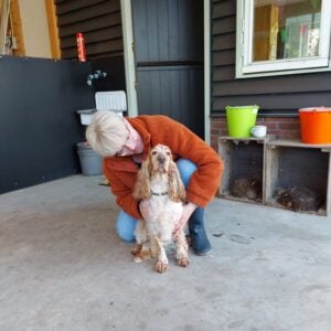 Ontspannen en herstellen voor huisdieren met de reiki cursus op Soofos