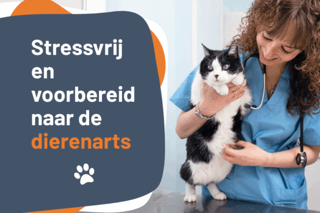 Afbeelding bij online cursus Stressvrij en voorbereid naar de dierenarts op Soofos